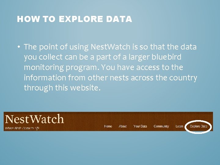 HOW TO EXPLORE DATA • The point of using Nest. Watch is so that