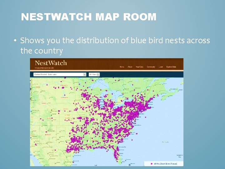 NESTWATCH MAP ROOM • Shows you the distribution of blue bird nests across the