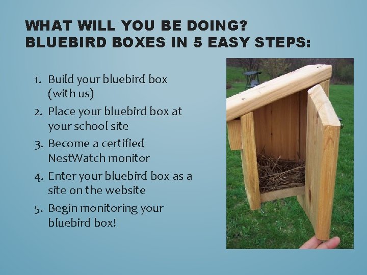 WHAT WILL YOU BE DOING? BLUEBIRD BOXES IN 5 EASY STEPS: 1. Build your