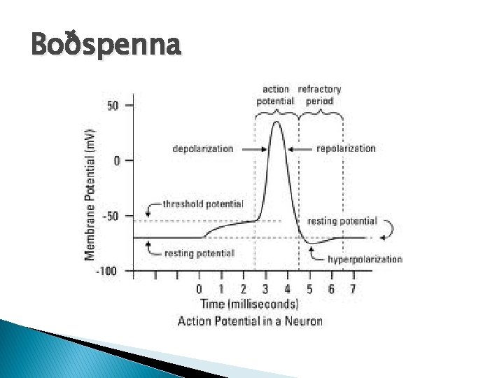 Boðspenna 