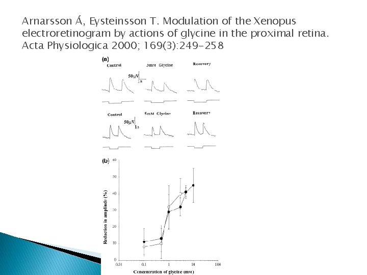 Arnarsson Á, Eysteinsson T. Modulation of the Xenopus electroretinogram by actions of glycine in