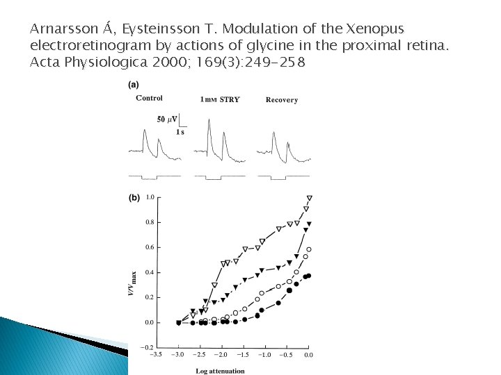 Arnarsson Á, Eysteinsson T. Modulation of the Xenopus electroretinogram by actions of glycine in