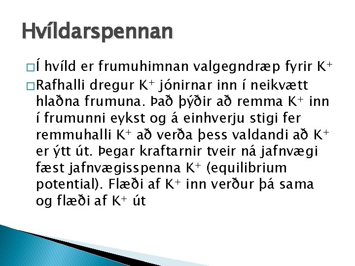 Hvíldarspennan �Í hvíld er frumuhimnan valgegndræp fyrir K+ � Rafhalli dregur K+ jónirnar inn