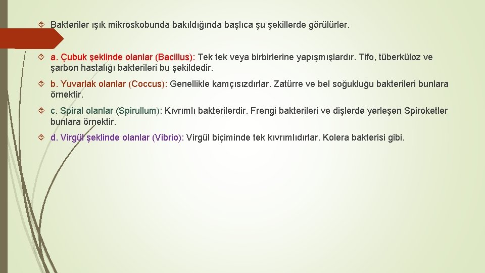  Bakteriler ışık mikroskobunda bakıldığında başlıca şu şekillerde görülürler. a. Çubuk şeklinde olanlar (Bacillus):