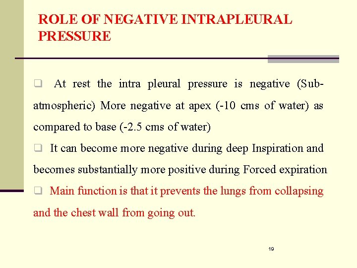 ROLE OF NEGATIVE INTRAPLEURAL PRESSURE q At rest the intra pleural pressure is negative