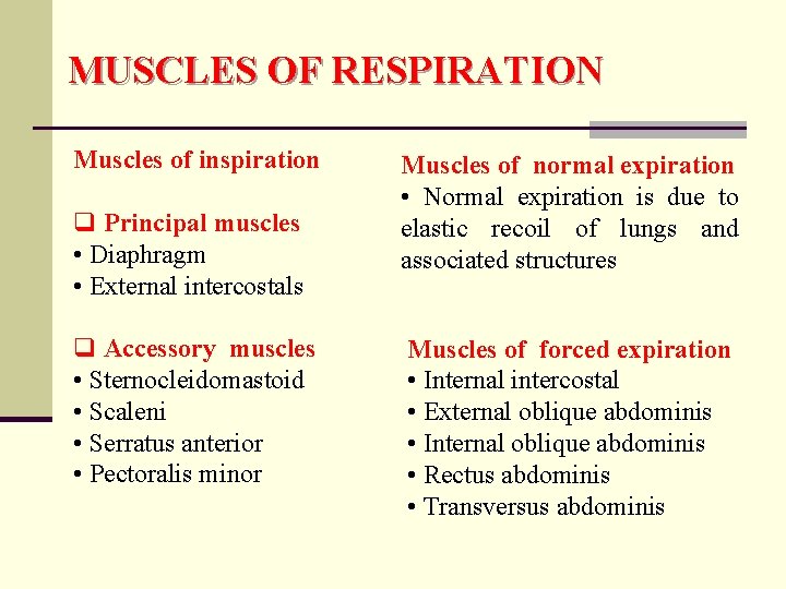 MUSCLES OF RESPIRATION Muscles of inspiration q Principal muscles • Diaphragm • External intercostals