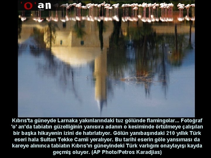 Kıbrıs'ta güneyde Larnaka yakınlarındaki tuz gölünde flamingolar. . . Fotoğraf 'o' an'da tabiatın güzelliğinin