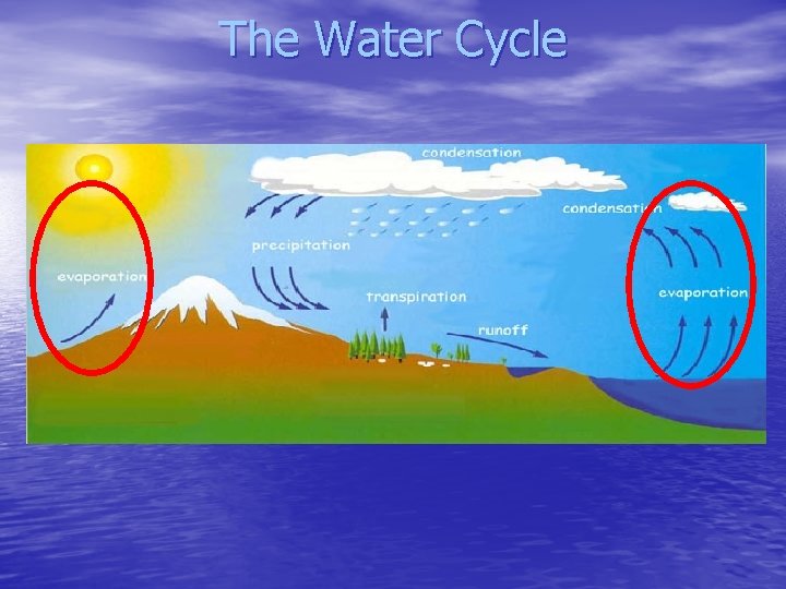 The Water Cycle 