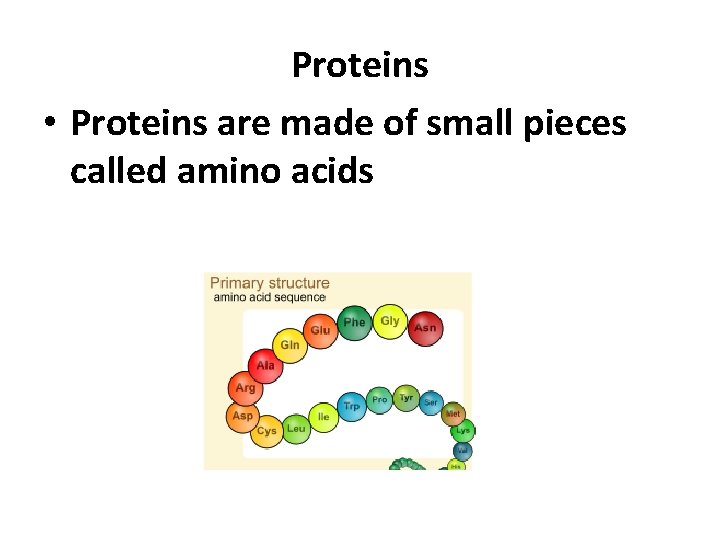 Proteins • Proteins are made of small pieces called amino acids 