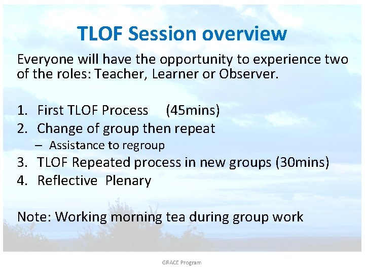 TLOF Session overview Everyone will have the opportunity to experience two of the roles: