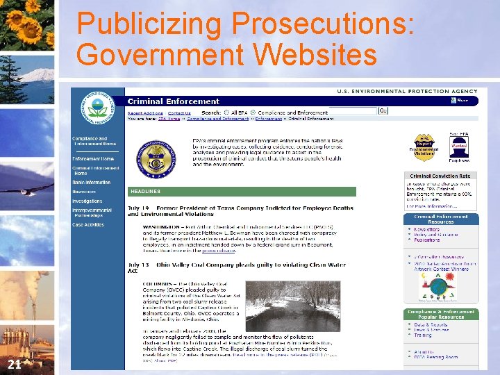 Publicizing Prosecutions: Government Websites 21 