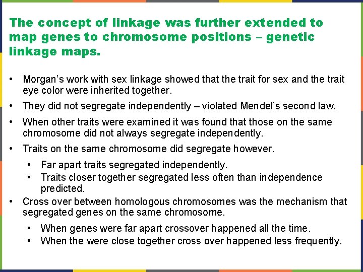 The concept of linkage was further extended to map genes to chromosome positions –
