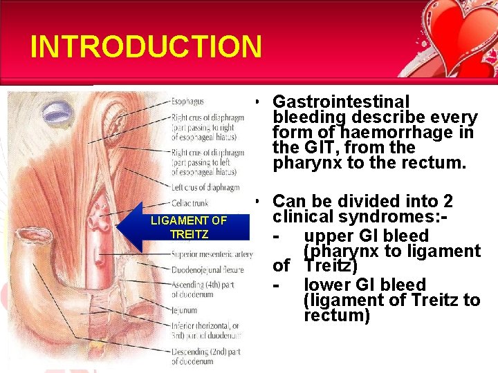 INTRODUCTION • Gastrointestinal bleeding describe every form of haemorrhage in the GIT, from the