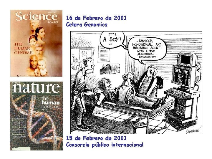 16 de Febrero de 2001 Celera Genomics Proyecto genoma humano La secuencia del genoma