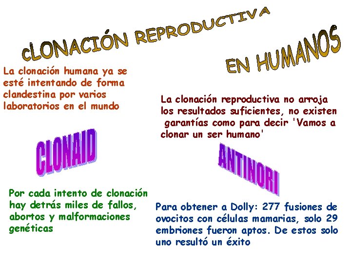 La clonación humana ya se esté intentando de forma clandestina por varios laboratorios en