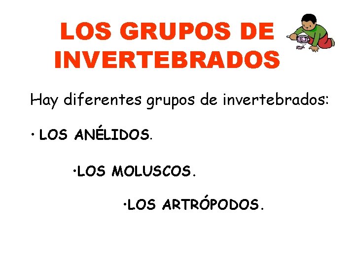 LOS GRUPOS DE INVERTEBRADOS Hay diferentes grupos de invertebrados: • LOS ANÉLIDOS. • LOS