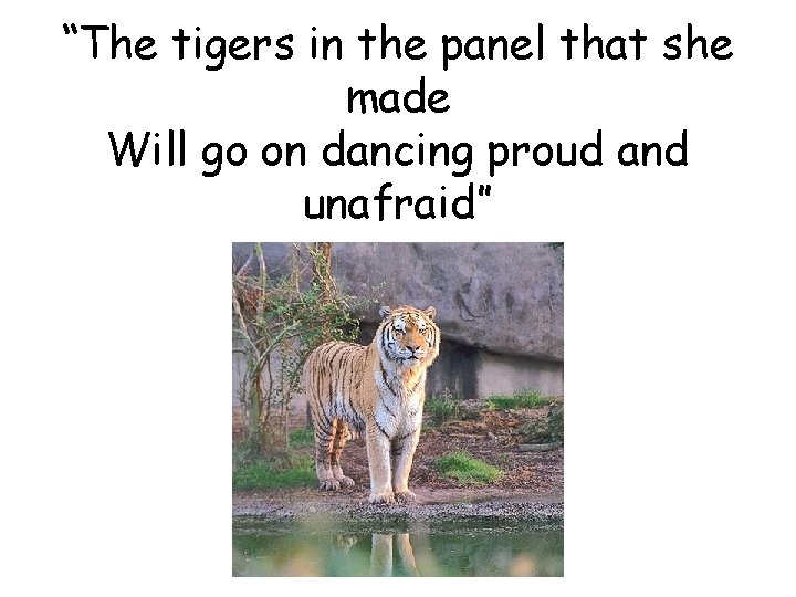 “The tigers in the panel that she made Will go on dancing proud and