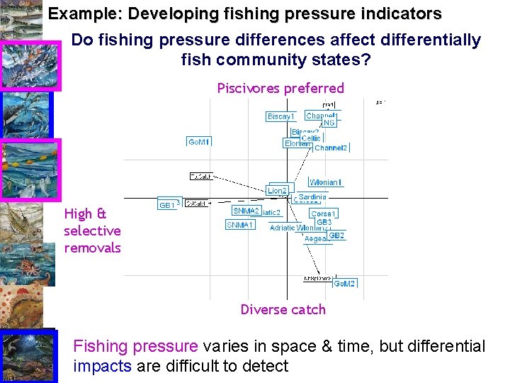 Example: Developing fishing pressure indicators Do fishing pressure differences affect differentially fish community states?