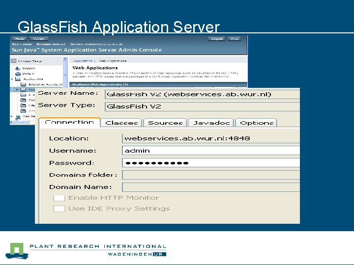 Glass. Fish Application Server 