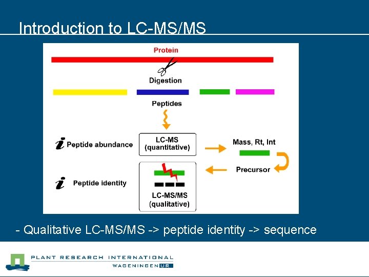 Introduction to LC-MS/MS - Qualitative LC-MS/MS -> peptide identity -> sequence 