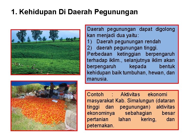 1. Kehidupan Di Daerah Pegunungan Daerah pegunungan dapat digolong kan menjadi dua yaitu: 1)