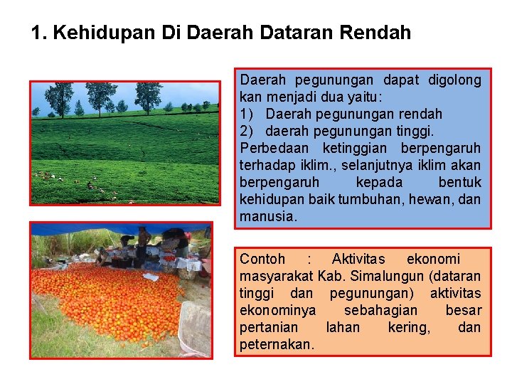 1. Kehidupan Di Daerah Dataran Rendah Daerah pegunungan dapat digolong kan menjadi dua yaitu: