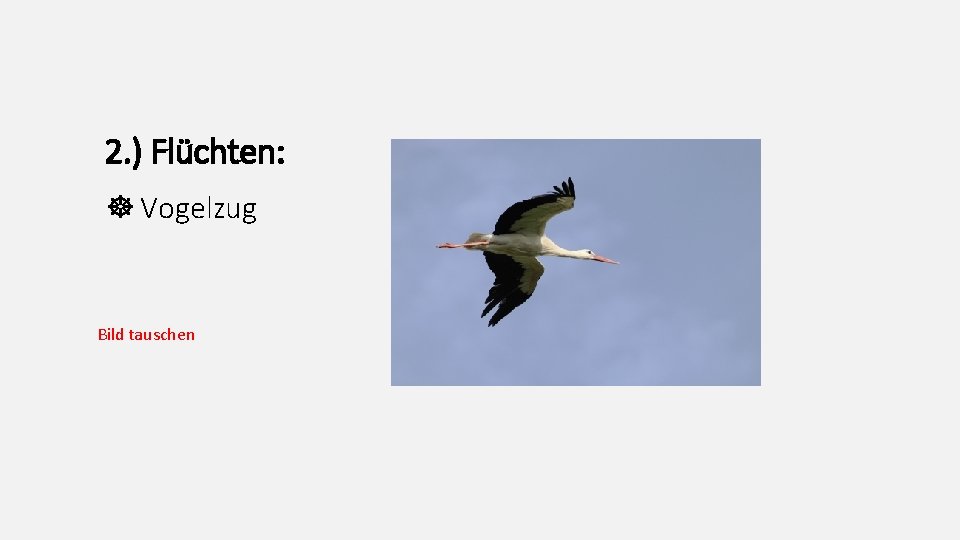 2. ) Flüchten: Vogelzug Bild tauschen 