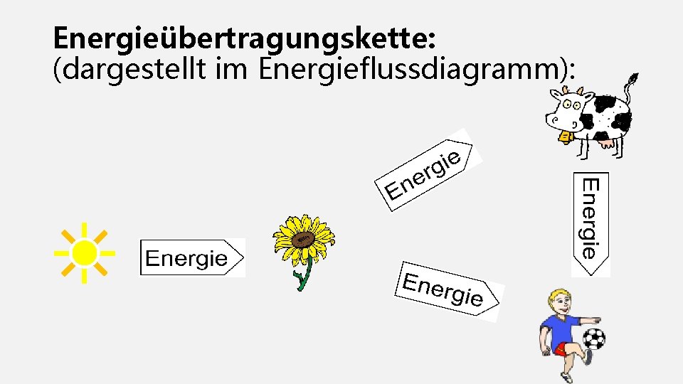 Energieübertragungskette: (dargestellt im Energieflussdiagramm): 