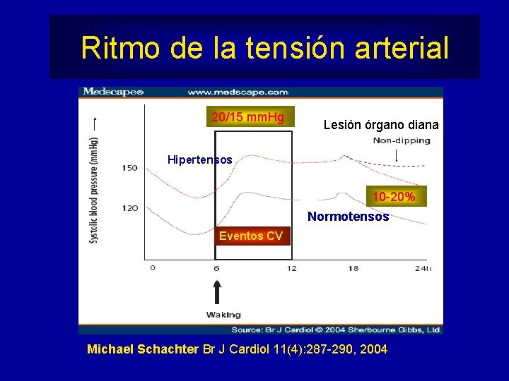Ritmo de la tensión arterial 20/15 mm. Hg Lesión órgano diana Hipertensos 10 -20%