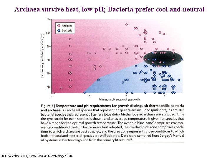 Archaea survive heat, low p. H; Bacteria prefer cool and neutral D. L. Valentine,