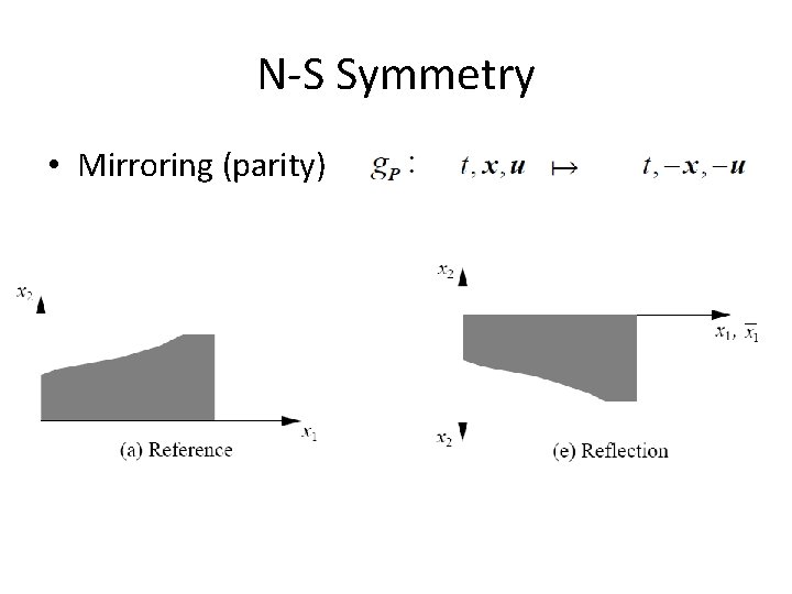 N-S Symmetry • Mirroring (parity) 