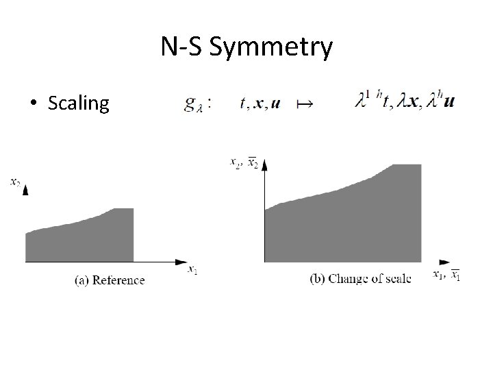 N-S Symmetry • Scaling 