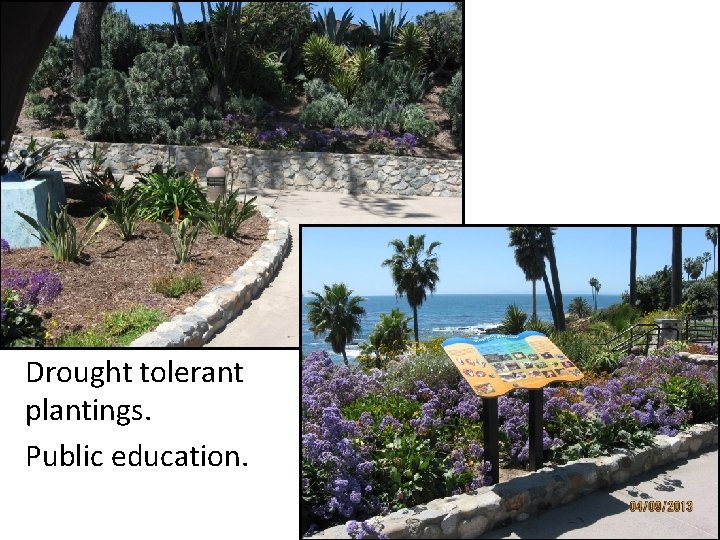 Drought tolerant plantings. Public education. 
