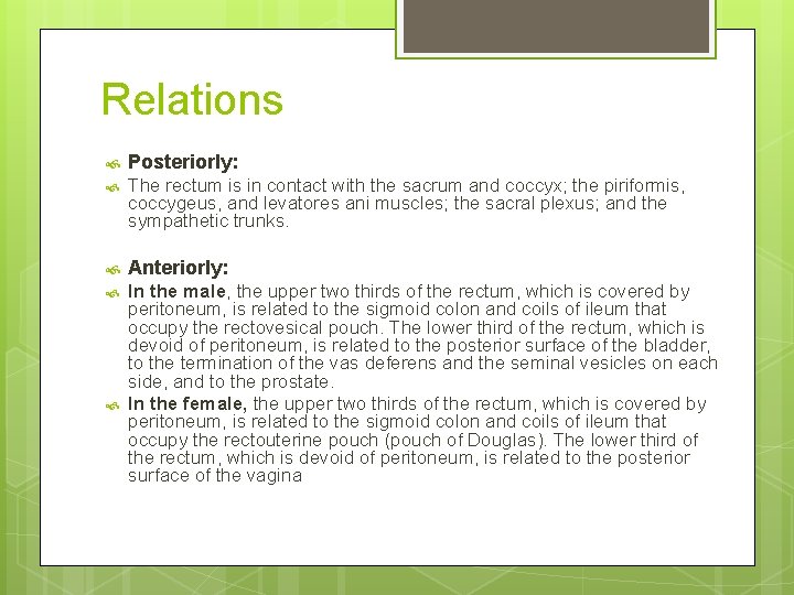 Relations Posteriorly: The rectum is in contact with the sacrum and coccyx; the piriformis,