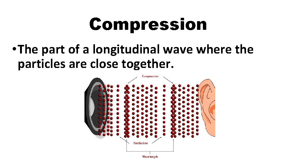Compression • The part of a longitudinal wave where the particles are close together.