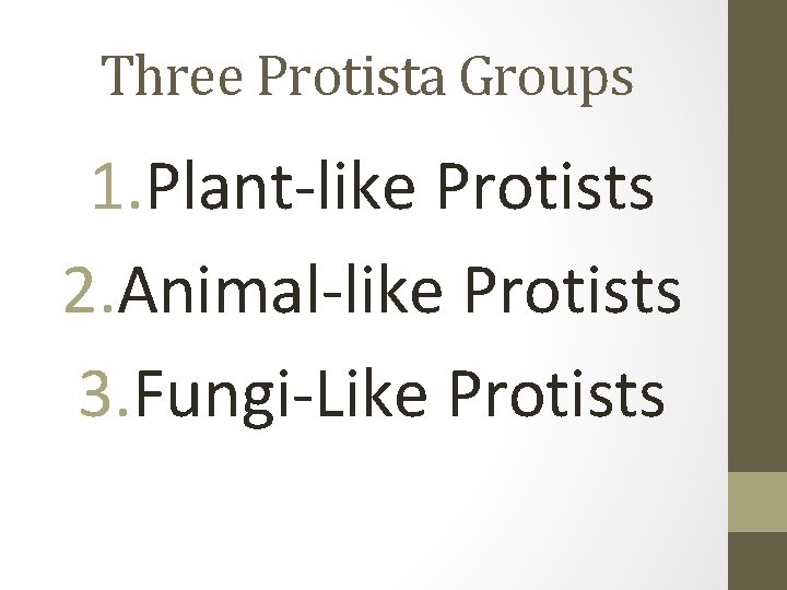 Three Protista Groups 1. Plant-like Protists 2. Animal-like Protists 3. Fungi-Like Protists 