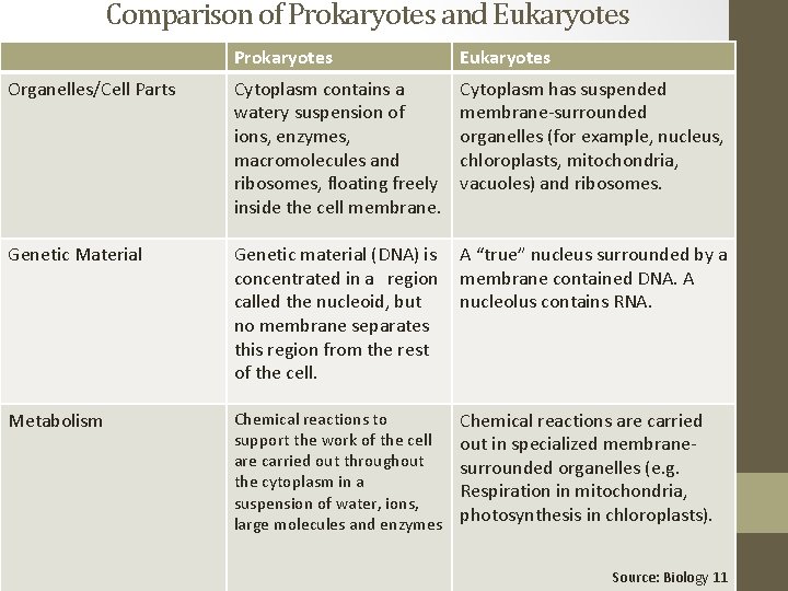 Comparison of Prokaryotes and Eukaryotes Prokaryotes Eukaryotes Organelles/Cell Parts Cytoplasm contains a watery suspension