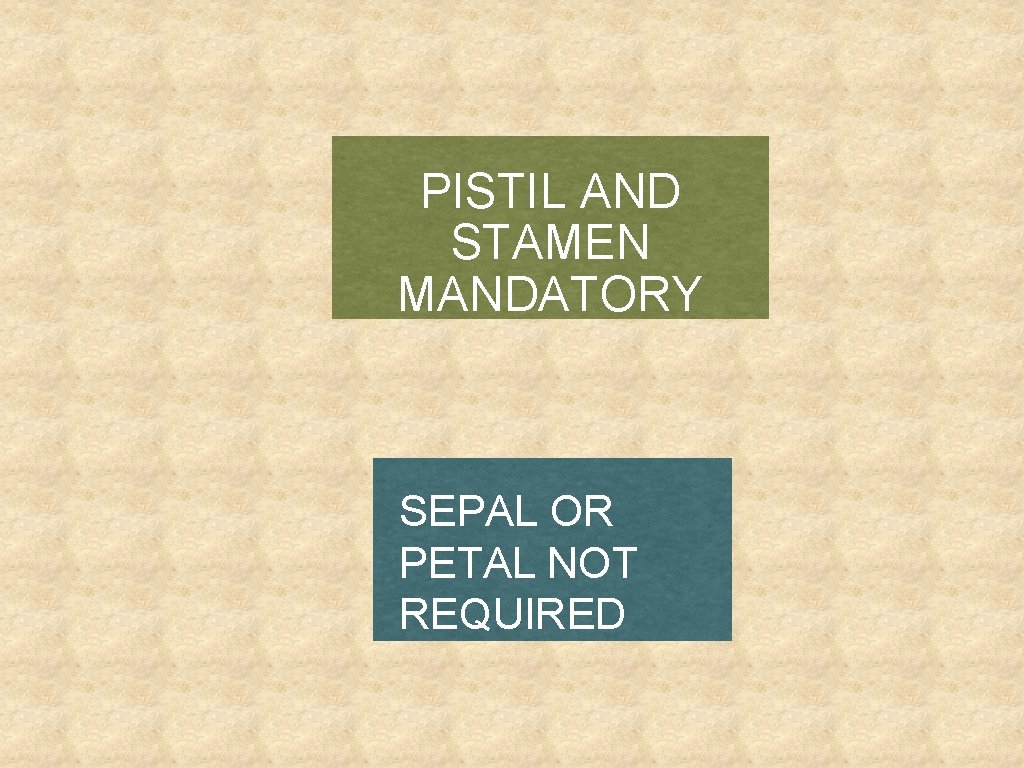 PISTIL AND STAMEN MANDATORY SEPAL OR PETAL NOT REQUIRED 