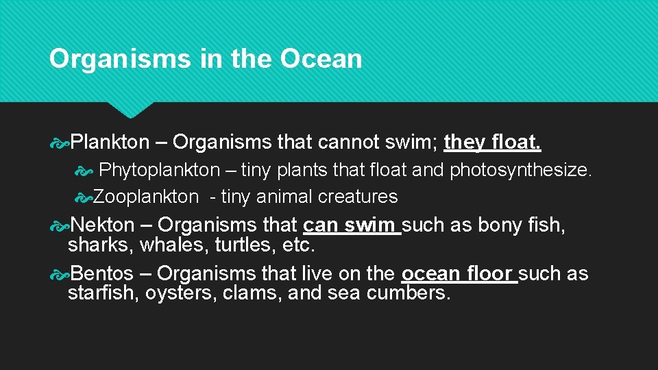 Organisms in the Ocean Plankton – Organisms that cannot swim; they float. Phytoplankton –