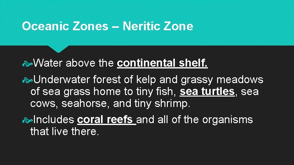 Oceanic Zones – Neritic Zone Water above the continental shelf. Underwater forest of kelp