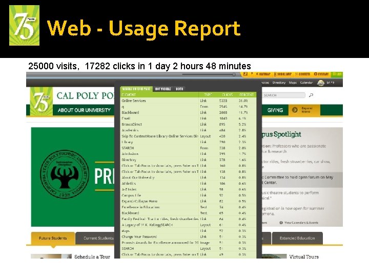 Web - Usage Report 25000 visits, 17282 clicks in 1 day 2 hours 48