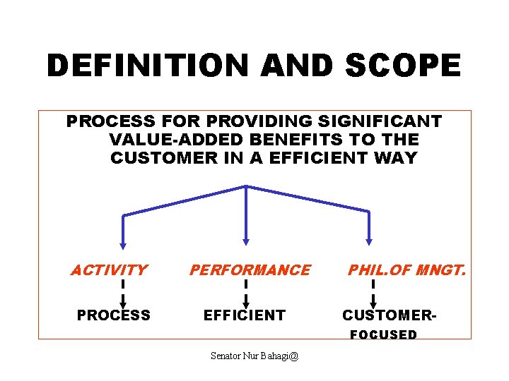DEFINITION AND SCOPE PROCESS FOR PROVIDING SIGNIFICANT VALUE-ADDED BENEFITS TO THE CUSTOMER IN A