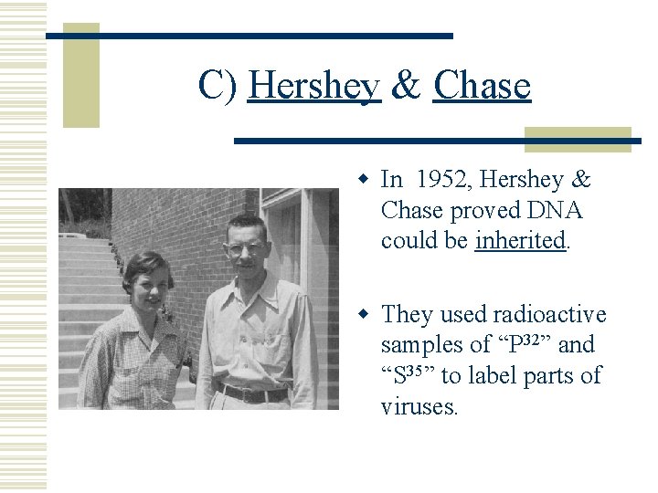 C) Hershey & Chase w In 1952, Hershey & Chase proved DNA could be