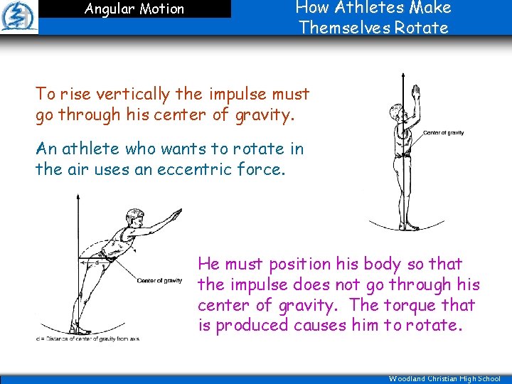 Angular Motion How Athletes Make Themselves Rotate To rise vertically the impulse must go
