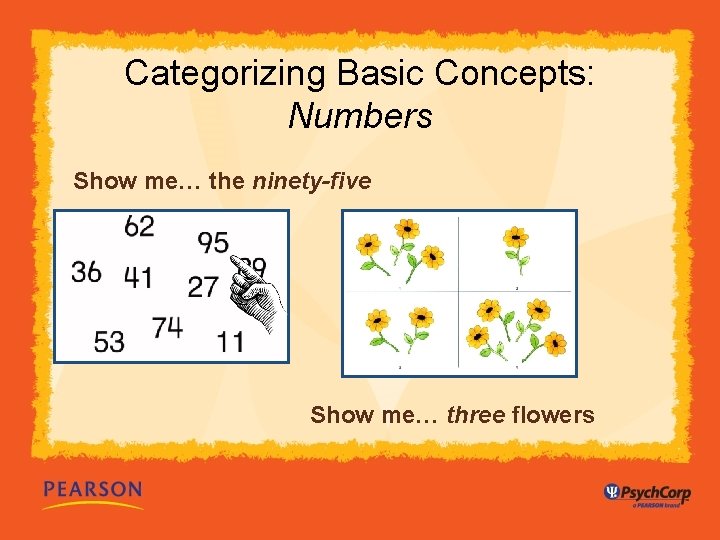 Categorizing Basic Concepts: Numbers Show me… the ninety-five Show me… three flowers 