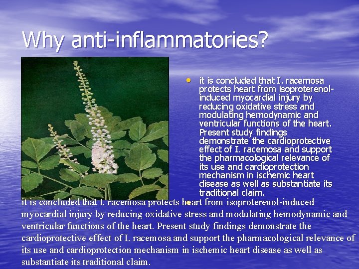 Why anti-inflammatories? • it is concluded that I. racemosa protects heart from isoproterenolinduced myocardial