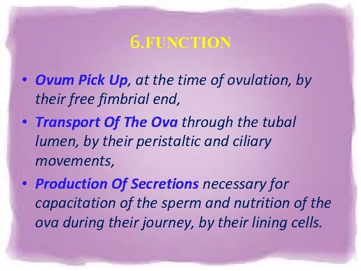 6. FUNCTION • Ovum Pick Up, at the time of ovulation, by their free 6. FUNCTION • Ovum Pick Up, at the time of ovulation, by their free