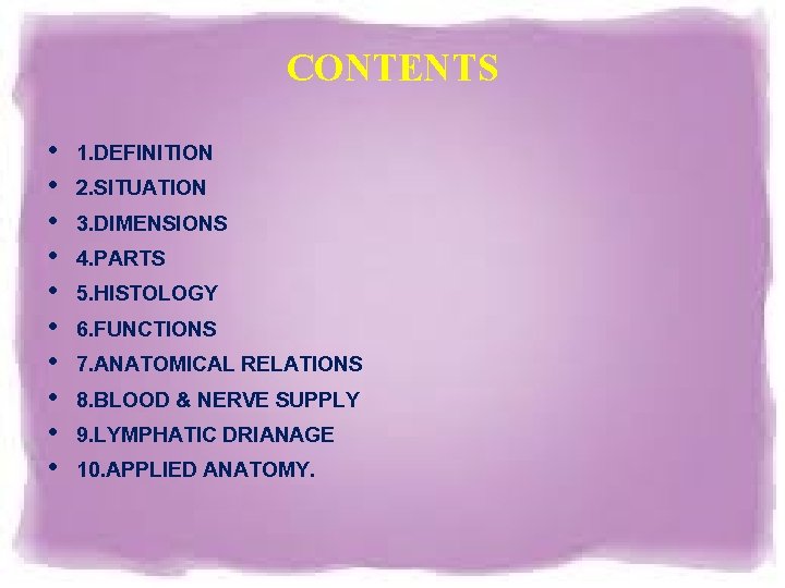 CONTENTS • • • 1. DEFINITION 2. SITUATION 3. DIMENSIONS 4. PARTS 5. HISTOLOGY CONTENTS • • • 1. DEFINITION 2. SITUATION 3. DIMENSIONS 4. PARTS 5. HISTOLOGY