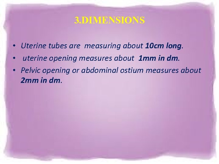 3. DIMENSIONS • Uterine tubes are measuring about 10 cm long. • uterine opening 3. DIMENSIONS • Uterine tubes are measuring about 10 cm long. • uterine opening