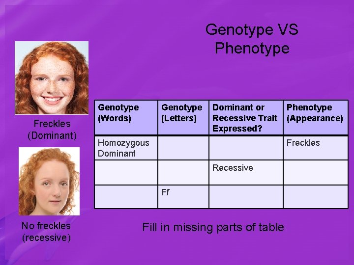 Genotype VS Phenotype Freckles (Dominant) Genotype (Words) Genotype (Letters) Dominant or Recessive Trait Expressed?